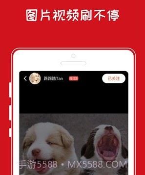 青岛小奇v1.0.10截图