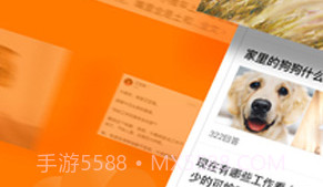 悟空问答APPV1.7截图