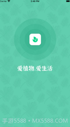 口袋绿植v1.12截图