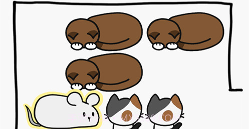 猫块难题v1.8截图