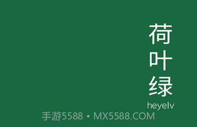 配色坞v1.0.11截图