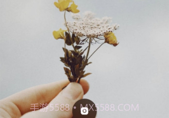 inch相机iOS版v1.6.9截图