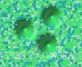 Virtual Slime粘液模拟器v1.5截图