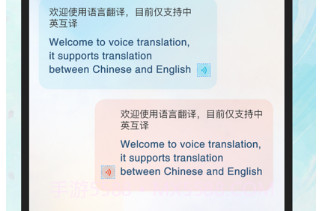 实时翻译官v1.0.12截图