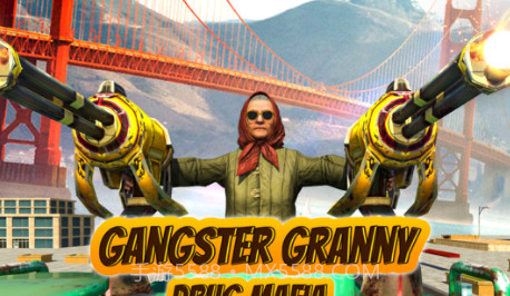 盛大模拟器奶奶黑手党v1.11截图