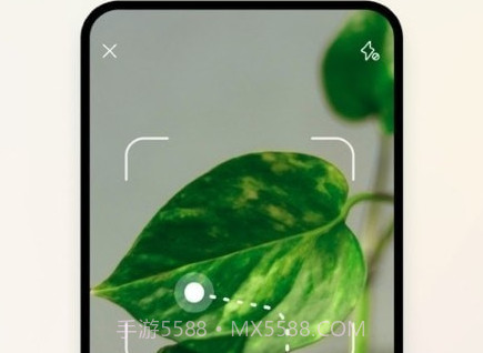 植物养护指南v1.9截图