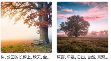 图片素材之家v23.11.7截图