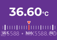 体温记录表v1.10.6截图