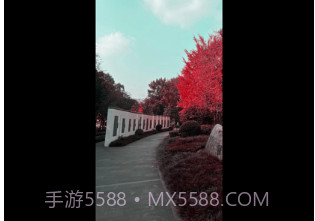 幻熊滤镜剪辑v1.7截图