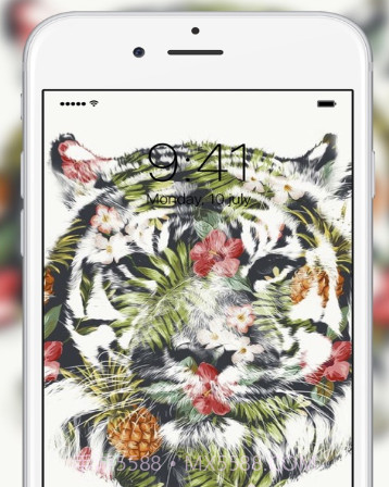 FLY 壁纸v1.0.15截图