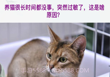 善行萌宠缘v1.6截图