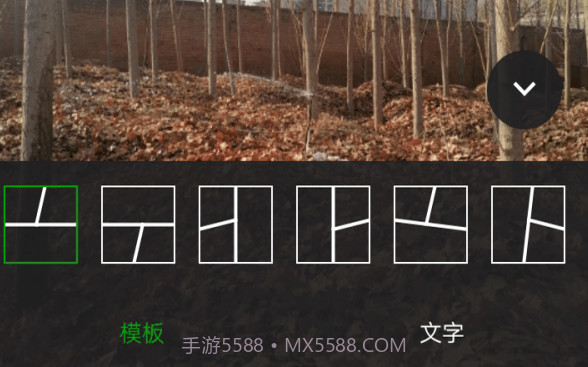 小葡萄v1.0.16截图