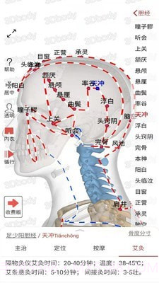 3D经络穴位1.0.9截图