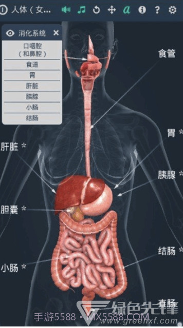人体系统女性3D软件(专业3D人体结构)V1.1 安卓最新版V1.4截图