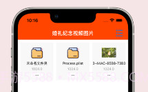 婚礼记录v1.10截图