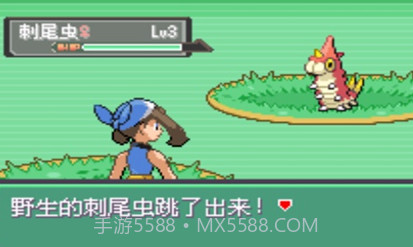 口袋妖怪暗之冰花中文版v3.0.11截图