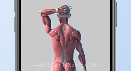 拉伸解剖v1.13截图