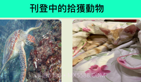 帮它找个家v1.10截图