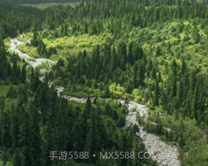 林草督查v1.2.11截图