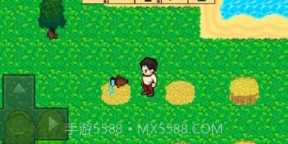 失落的宝藏探险v3.6.14截图