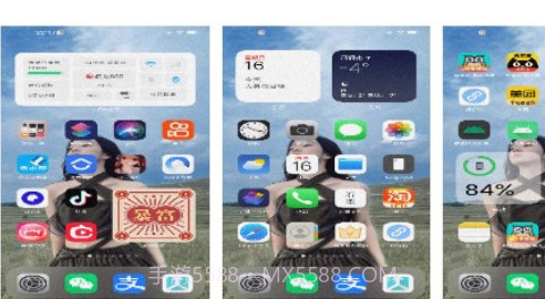 阿新主题库v1.12截图