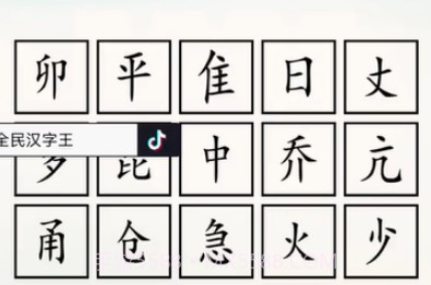 全民汉字王v1.11截图