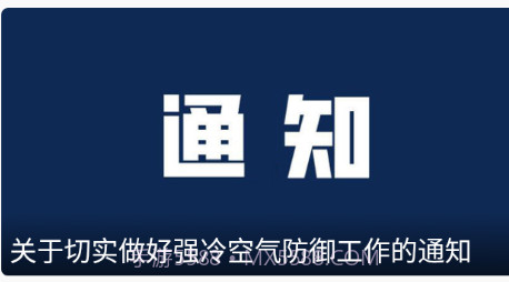 龙港在线v1.0.16截图