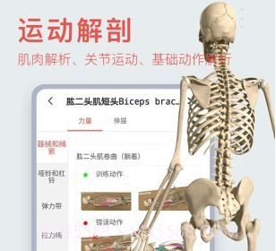 3Dbody艺用v8.5.18截图