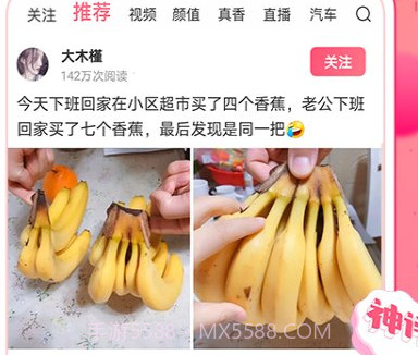 皮皮虾去水印v3.5.12截图