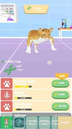 动物进化实验无限版1.9截图