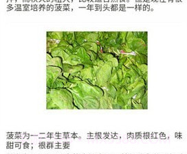 口袋菜农v0.13截图