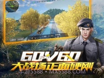 佐魂cf美化盒子v1.9截图