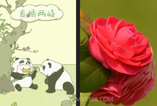 叮咚来电秀v1.0.14截图