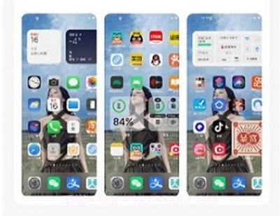 主题库pro安装包v9.10截图