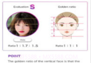 face scorev1.4.10截图