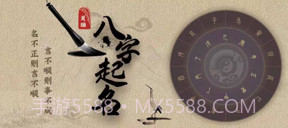 灵瑞起名v1.12截图