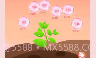 爱豆空间v1.0.10截图