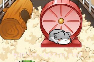 小仓鼠的快乐生活v4.6.11截图