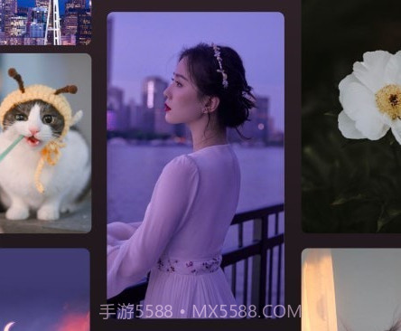 萤火虫壁纸v1.15截图