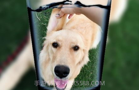 趣拍玩图照相机v8081.21.1.16截图