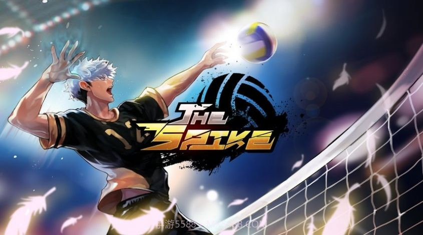 the spike排球少年v1.0.11截图