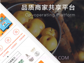 进来v3.4.11截图