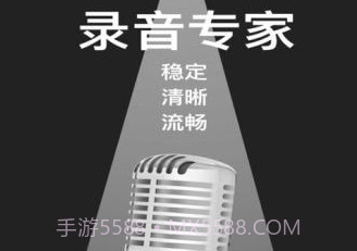 掌上录音机v1.0.11截图