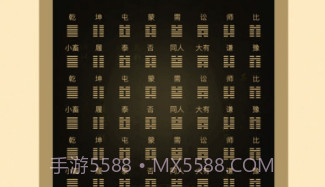 天天易问v1.11截图