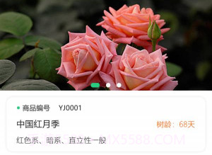 玉苗v2.0.13截图