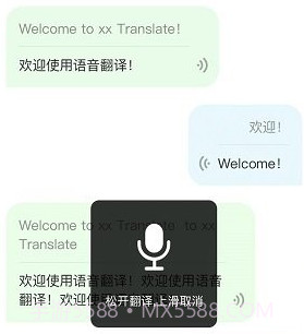 中英互译翻译官v1.2.19截图