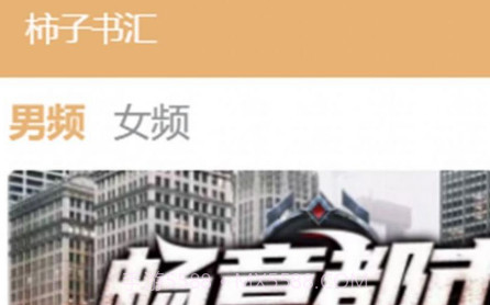 柿子书汇v4.00.19截图