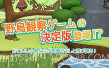 小鸟观察器V3.1.17截图