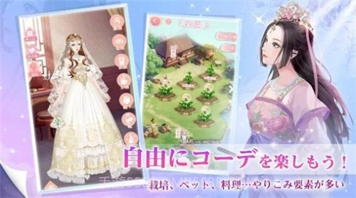 宫廷的遥映游戏v10.10.12截图