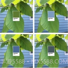 pantonev1.7.18截图